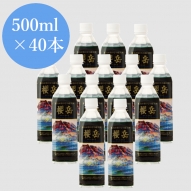 ペットボトルタイプ　　500ml×40本