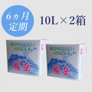 ボックスタイプ10Ｌ×2箱　 定期購入6ヵ月コース